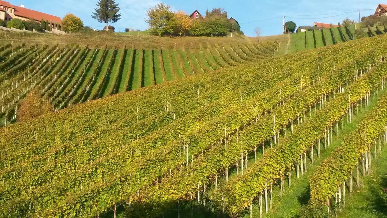 Weingut Stoff Bed & Breakfast Kitzeck im Sausal Eksteriør bilde